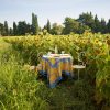 French Tablecloths * | French Tablecloth Sunflower Yellow & Blue